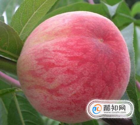 ��Щ�˲��ܳ���������